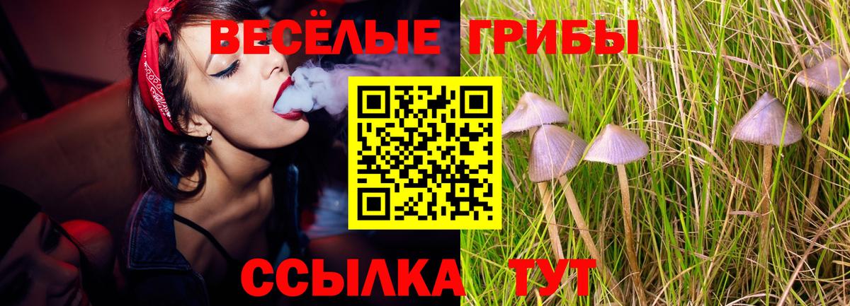 Галлюциногенные грибы мицелий  Псилоцибиновые грибы GOLDEN TEACHER  Вход с VPN  Рязань 
