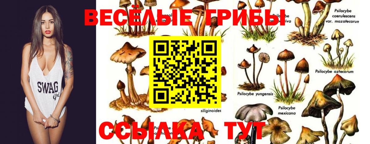 Галлюциногенные грибы мухоморы Рязань